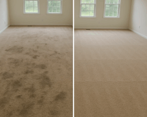 Best Residential Carpet Cleaning