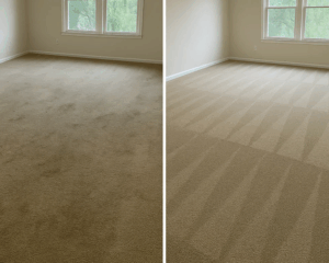 Best Residential Carpet Cleaning