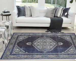 Best rug cleaning service