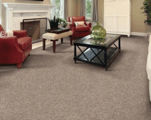 Modern home with clean carpet