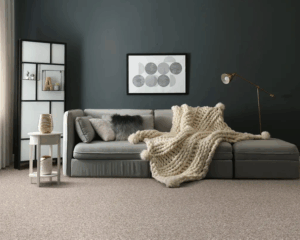 Modern home with clean carpet