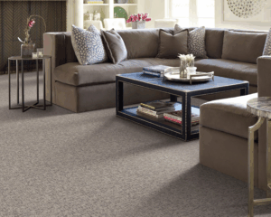 Modern home with clean carpet